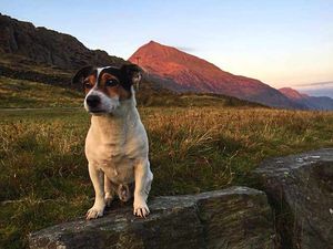 Skipper takes in the scenery