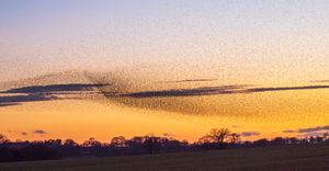 Photo taken by Andrew Fusek Peters, pro wildlife photographer