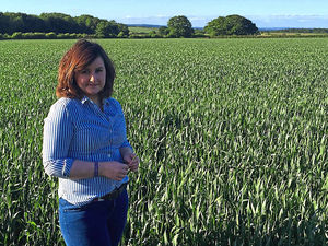 Supporting image for story: Hidden heroines of the farming world