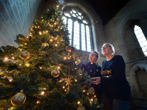 Supporting image for story: Church mouse finds unexpected lunch at Shropshire Christmas tree festival