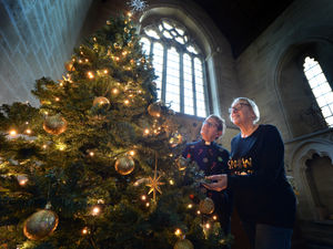 Supporting image for story: Church mouse finds unexpected lunch at Shropshire Christmas tree festival