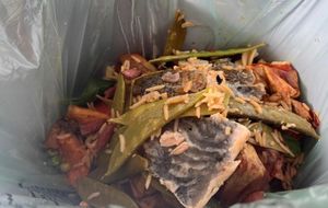 Food waste picture. By Elgan Hearn LDRS