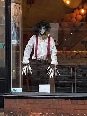 Halo hairdressers ( Edward scissorhands)