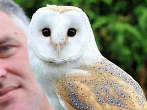 Supporting image for story: No-one should die in a storm