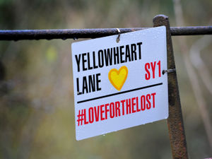 Supporting image for story: 'Yellowheart Lane': Mystery as Shrewsbury footpath renamed in honour of Covid-19 victims