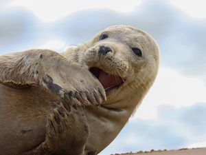 Supporting image for story: Young wildlife enthusiasts look a life through a lens for major competition