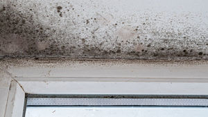 The report has been released by Oswestry-based Aico.