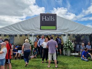 Supporting image for story: Halls makes mark at Shropshire shows with prizewinning stand