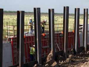 Supporting image for story: Trump’s border wall will hurt endangered plants and animals in Texas, scientists say