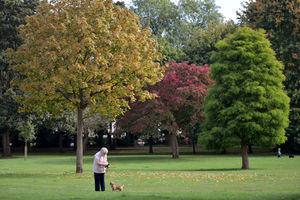 Autumn in Bantock Park, Wolverhampton