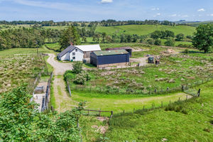 The farm near Llandrindod Wells
