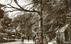 Victorian swingboats outside Halfway House which campaigners want to see returned