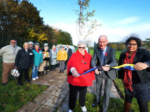 Supporting image for story: Tree planting to mark centenary
