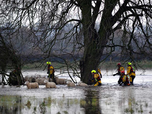 Supporting image for story: The Daily Snapshot - November 27, 2012