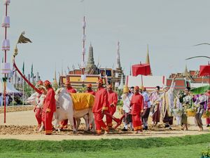 Thai master of the plowing ceremony Prayoon Inskul, center right, throws rice seeds to the field during a royal plowing ceremony in Bangkok, Thailand