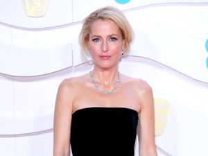 Supporting image for story: Gillian Anderson: Sex Education exposed me to things I had never heard of before