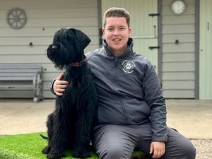 Supporting image for story: Young Oswestry entrepreneur sets tails wagging with launch of doggy daycare business