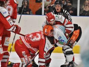 Supporting image for story: Defeated Telford Tigers show some fight