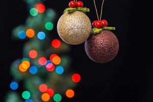 Supporting image for story: Search under way for Newport Christmas lights switch on