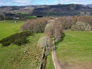 Supporting image for story: Ex-head gamekeeper goes on trial accused of shotgun murder