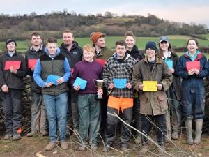 Supporting image for story: Hedgelaying standard impresses judges