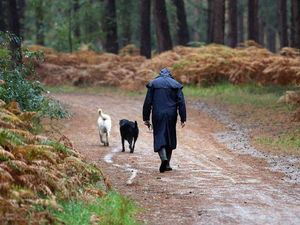 Supporting image for story: Poll: Do you think dog mess fines have been a success?