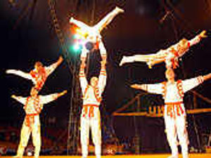 Supporting image for story: Circus delights young and old