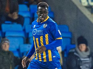 Supporting image for story: Shrewsbury boss John Askey hopes to tap into Arthur Gnahoua's Premier League class