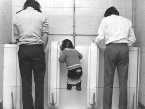 Supporting image for story: Dudley-born Koko the chimp who was star of famous photo reaches grand old age of 50 