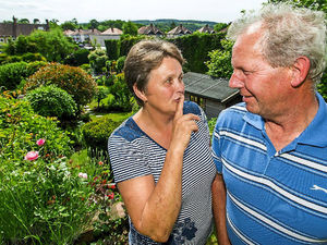 Supporting image for story: Shropshire strikes gold in a great night at Heart of England in Bloom awards