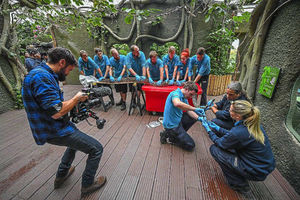 Supporting image for story: Chester Zoo to be filmed as part of Channel 4 series