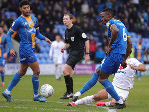 Supporting image for story: Verdict: Shrewsbury Town must rediscover that winning feeling