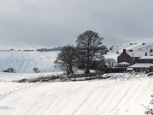 Squilver, Ratlinghope, by Louise Whitgreave 