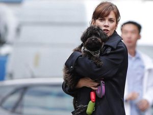 Supporting image for story