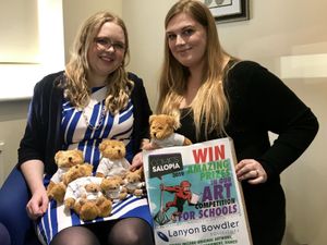 Supporting image for story: Young artists sought by festival chiefs