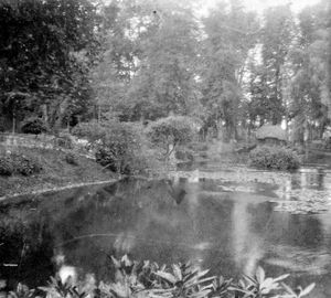 A lake or pond at Tong.