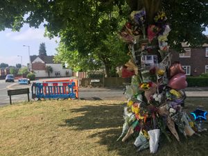 Supporting image for story: Tributes paid to teen killed in horror Black Country crash