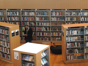 Supporting image for story: Academic journals fell for hoax papers – and some were published