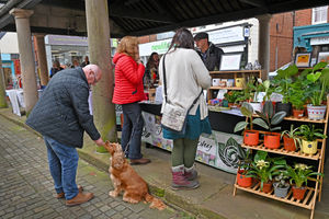 Market Drayton hosted the first day for its new and expanded artisan market.