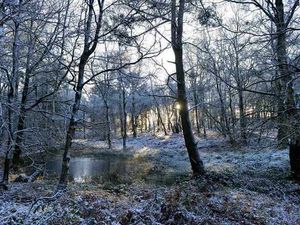 Supporting image for story: Beauty Spot Snaps