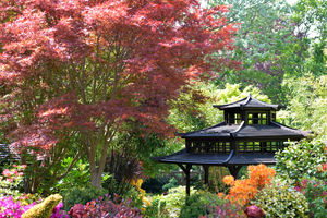 Tony and Marie Newton’s Four Seasons garden in Walsall