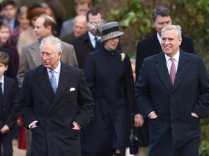 Supporting image for story: King’s ‘profound concern’ at Andrew claims as Palace pledges to support police