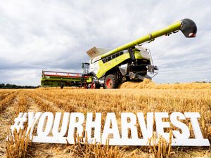 Supporting image for story: Campaign to highlight importance of harvest after months of disastrous weather