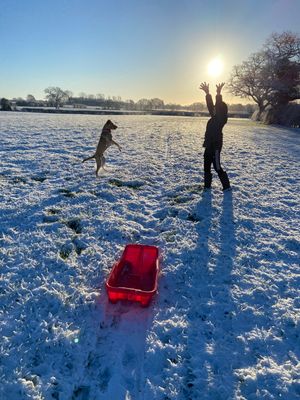 Schools closed, so this Tilstock chap and his dog enjoy the snow. Photo: Rachael Heaney 