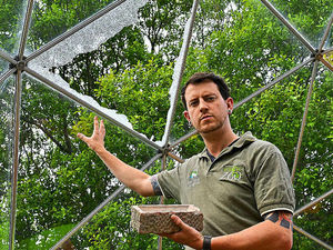 Supporting image for story: Pictures: Vandals cause thousands in damage to Telford zoo dome
