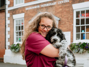 Supporting image for story: Fundraiser to save Digby the dog launched by Bridgnorth vets