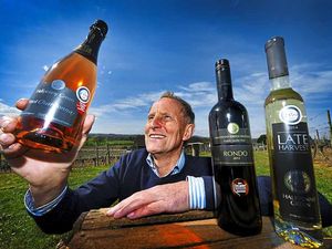 Supporting image for story: Vineyard celebrates splash of success