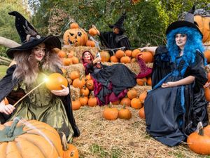 Supporting image for story: Half-term fun with a Halloween twist