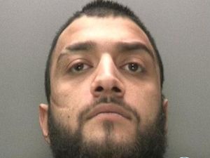 Supporting image for story: One man arrested as police hunt second suspect for rodents released in restaurants