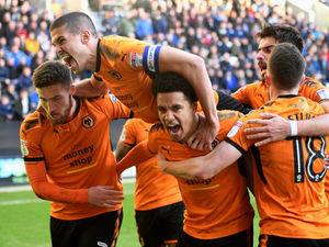 Supporting image for story: Preston 1 Wolves 1 – player ratings